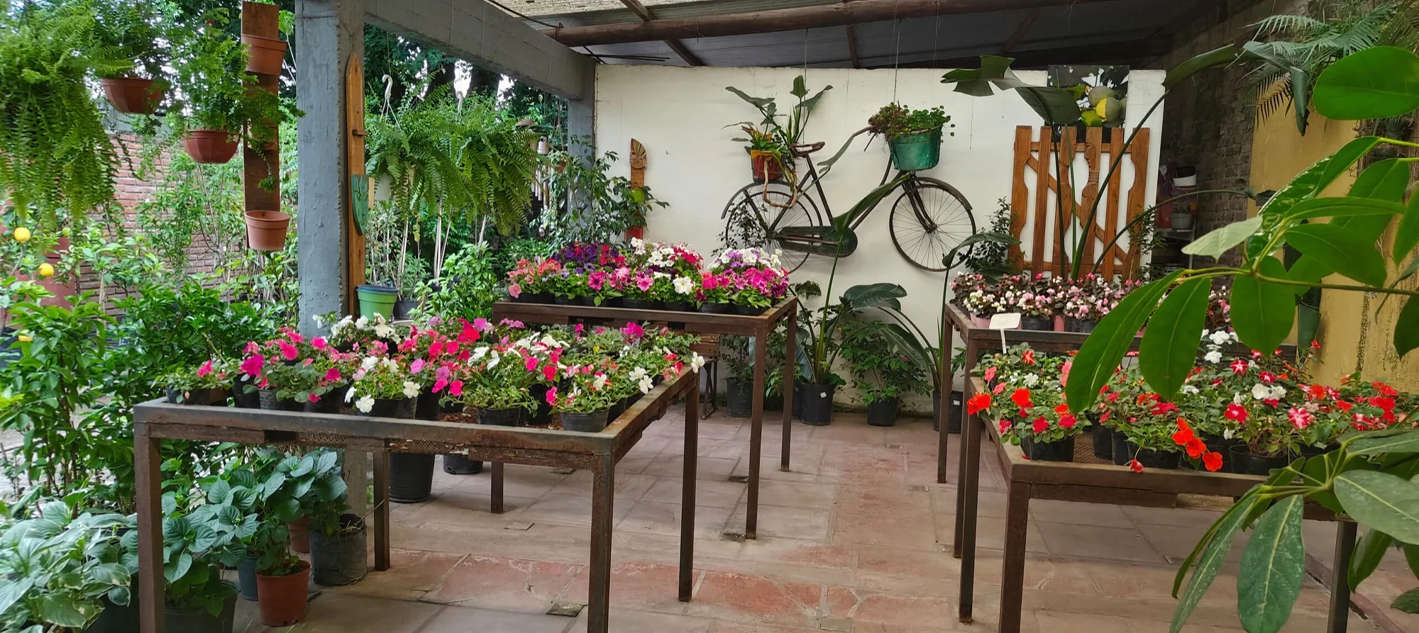 La galería de Tu Vivero, con las mesas llenas de plantas en flor
