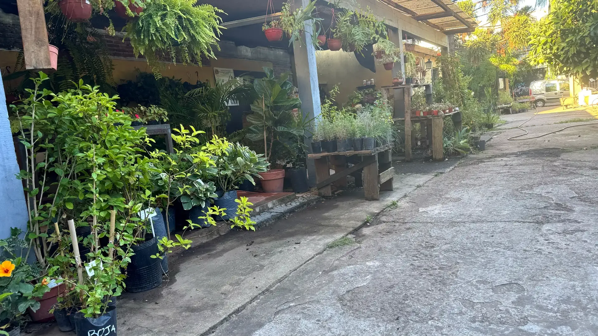 Pasillo de Tu Vivero con arbustos, aromáticas y herbáceas en maceta